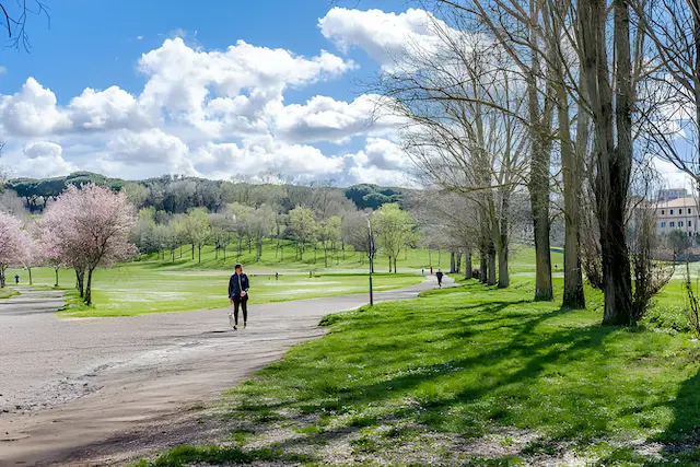 Parks In Riverdale Md 1